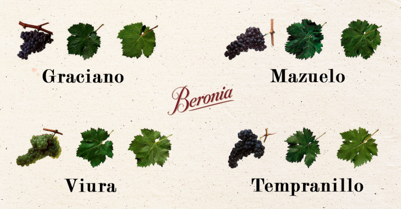 Las variedades de viñedo en La Rioja