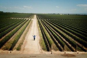 2Películas y documentales