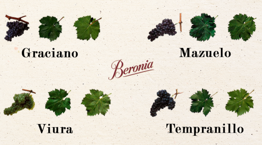 Las variedades de viñedo en La Rioja