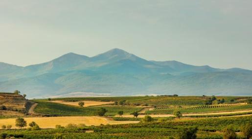 Beronia Rioja Guide To The Wines Of Rioja