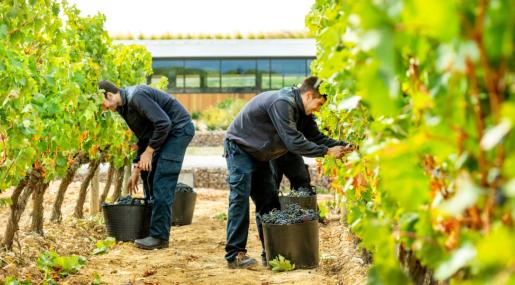 Beronia Winemaking In Rioja 