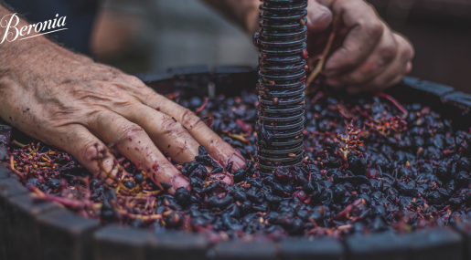 Historias de viña y vino de Ollauri