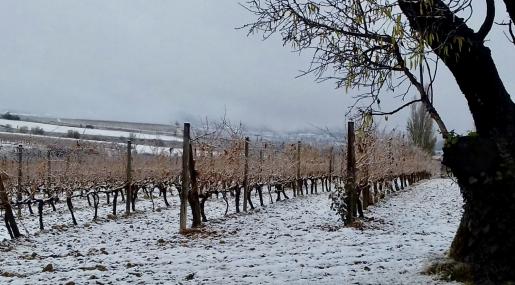 La nieve ha llegado a La Rioja