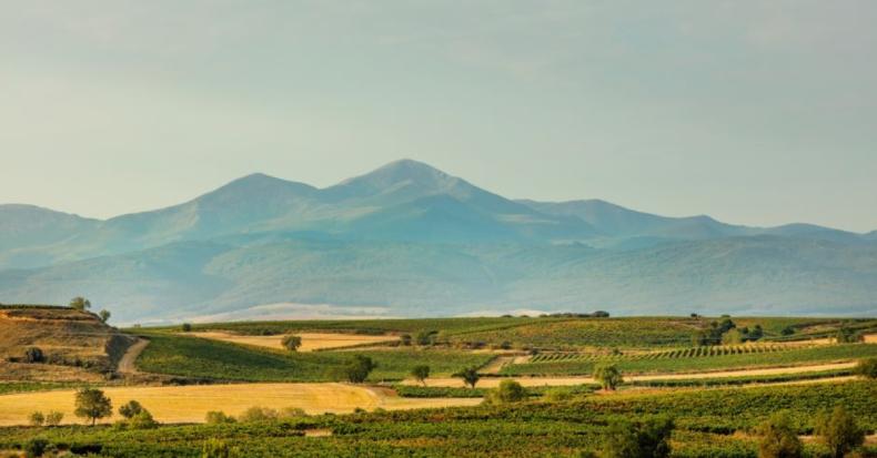 Beronia Rioja Guide To The Wines Of Rioja