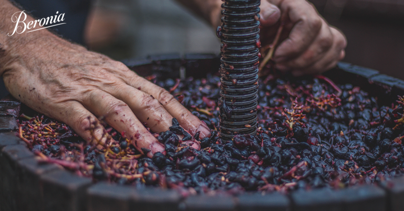 Historias de viña y vino de Ollauri