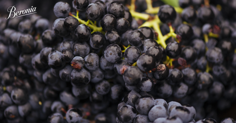 Rain helps yields recover for 2018 harvest