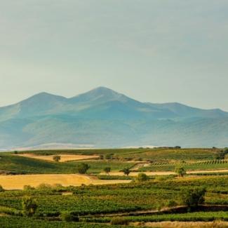 Beronia Rioja Guide To The Wines Of Rioja