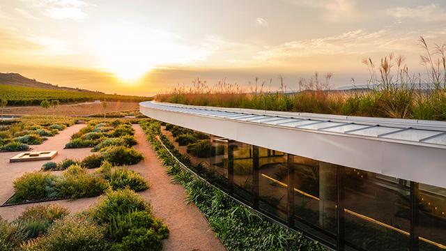 Bodegas Beronia en la Rioja