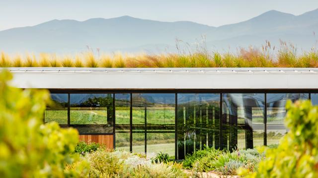 Bodegas Beronia en la Rioja