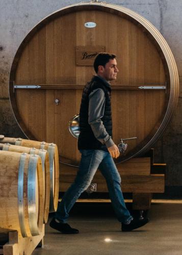 Visita Premium: Degustación de 4 vinos y picoteo