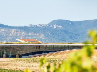 bodega beronia 