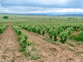 Paisajes Beronia: El valle de Valpierre y nuestro Gran Reserva